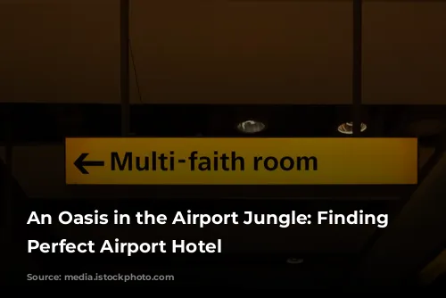 An Oasis in the Airport Jungle: Finding the Perfect Airport Hotel