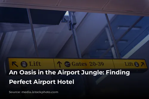 An Oasis in the Airport Jungle: Finding the Perfect Airport Hotel