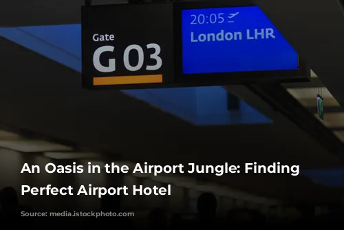 An Oasis in the Airport Jungle: Finding the Perfect Airport Hotel