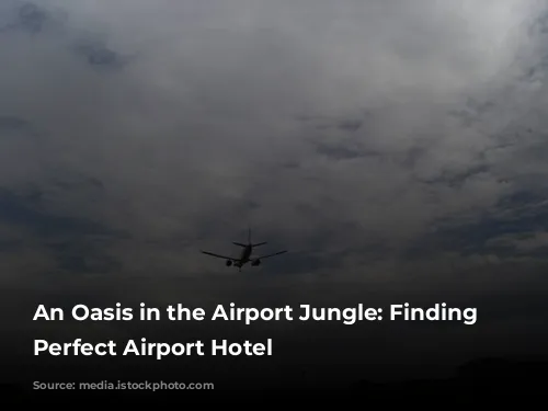 An Oasis in the Airport Jungle: Finding the Perfect Airport Hotel