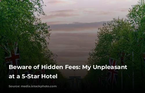 Beware of Hidden Fees: My Unpleasant Experience at a 5-Star Hotel