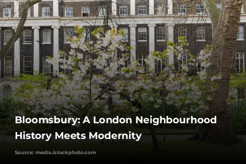 Bloomsbury: A London Neighbourhood Where History Meets Modernity