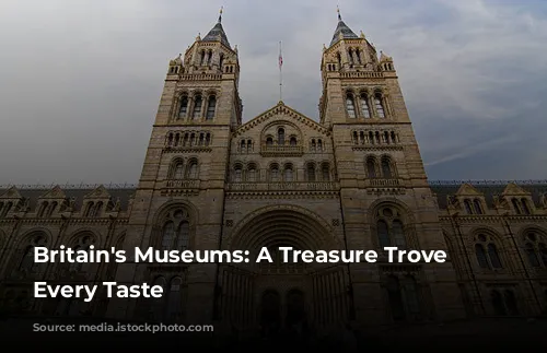 Britain's Museums: A Treasure Trove for Every Taste