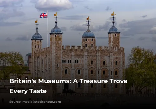 Britain's Museums: A Treasure Trove for Every Taste