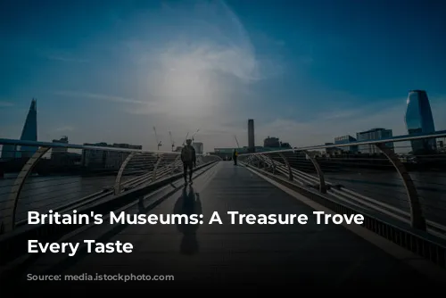 Britain's Museums: A Treasure Trove for Every Taste