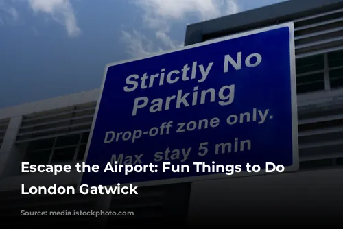 Escape the Airport: Fun Things to Do Near London Gatwick