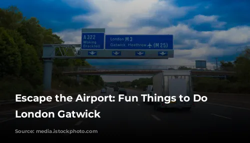 Escape the Airport: Fun Things to Do Near London Gatwick