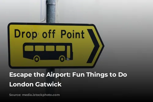 Escape the Airport: Fun Things to Do Near London Gatwick