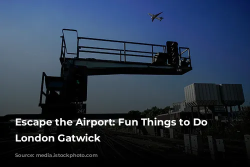 Escape the Airport: Fun Things to Do Near London Gatwick