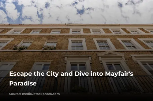 Escape the City and Dive into Mayfair's Fashion Paradise