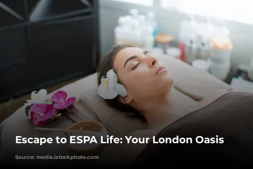 Escape to ESPA Life: Your London Oasis Awaits