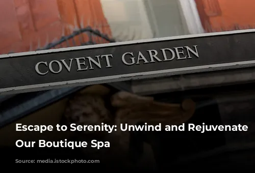 Escape to Serenity: Unwind and Rejuvenate at Our Boutique Spa