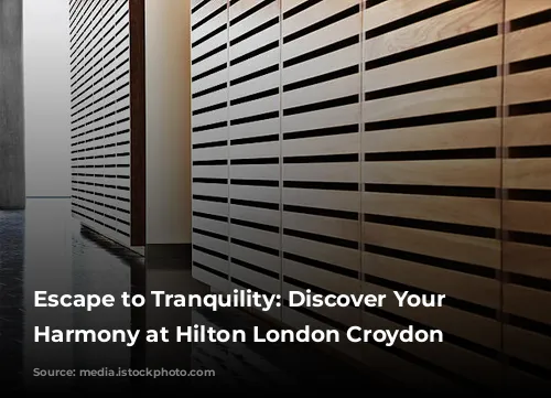 Escape to Tranquility: Discover Your Inner Harmony at Hilton London Croydon