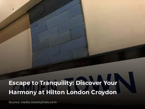 Escape to Tranquility: Discover Your Inner Harmony at Hilton London Croydon