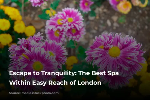 Escape to Tranquility: The Best Spa Breaks Within Easy Reach of London