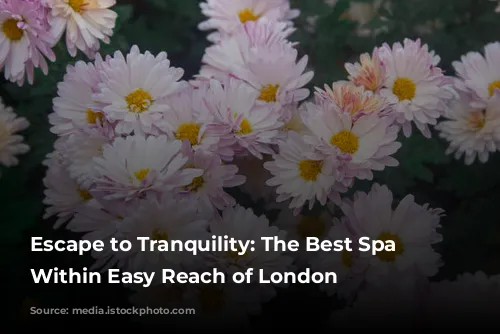 Escape to Tranquility: The Best Spa Breaks Within Easy Reach of London