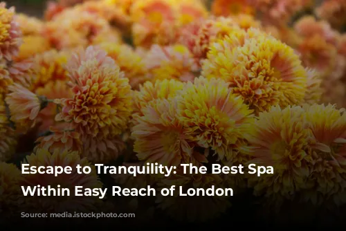 Escape to Tranquility: The Best Spa Breaks Within Easy Reach of London