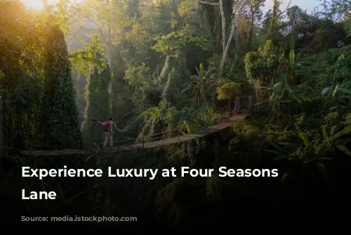 Experience Luxury at Four Seasons Park Lane