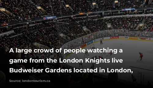 A large crowd of people watching a hockey game from the London Knights live at Budweiser Gardens located in London, Ontario