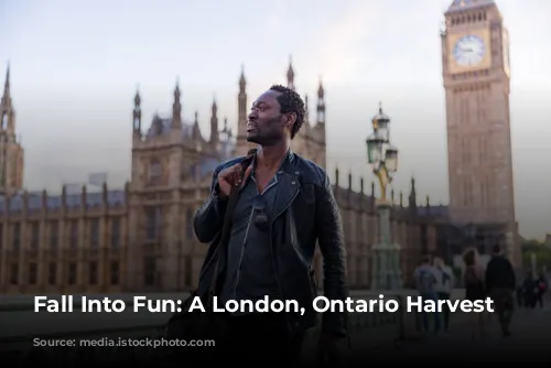 Fall Into Fun: A London, Ontario Harvest Itinerary