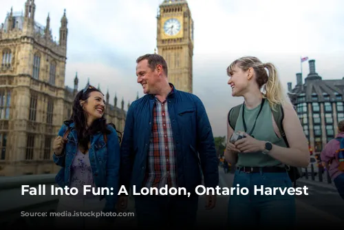 Fall Into Fun: A London, Ontario Harvest Itinerary