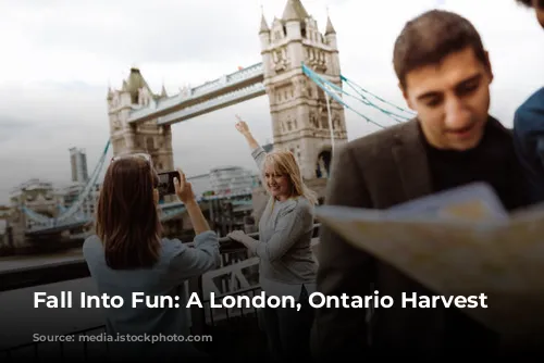 Fall Into Fun: A London, Ontario Harvest Itinerary