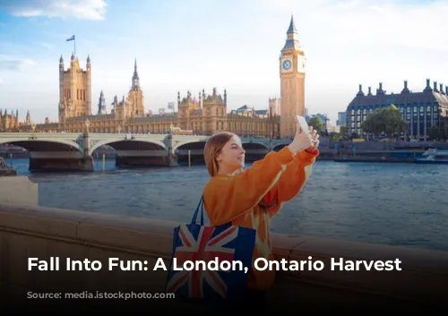 Fall Into Fun: A London, Ontario Harvest Itinerary