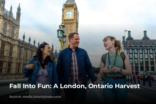 Fall Into Fun: A London, Ontario Harvest Itinerary