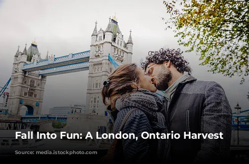 Fall Into Fun: A London, Ontario Harvest Itinerary