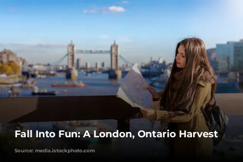 Fall Into Fun: A London, Ontario Harvest Itinerary