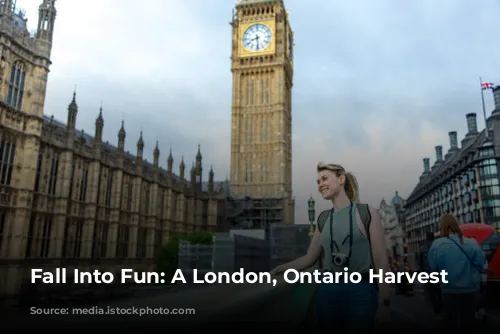 Fall Into Fun: A London, Ontario Harvest Itinerary