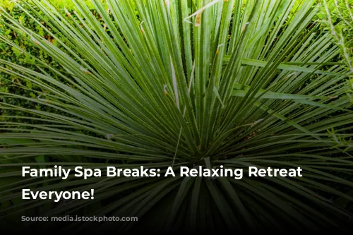 Family Spa Breaks:  A Relaxing Retreat for Everyone!