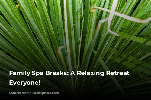 Family Spa Breaks:  A Relaxing Retreat for Everyone!