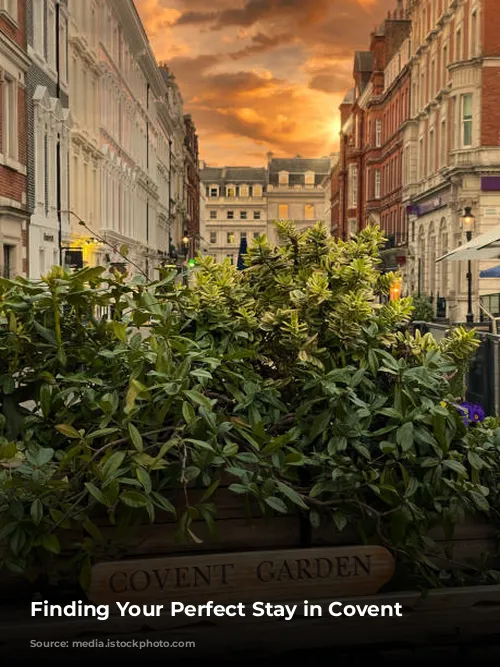 Finding Your Perfect Stay in Covent Garden