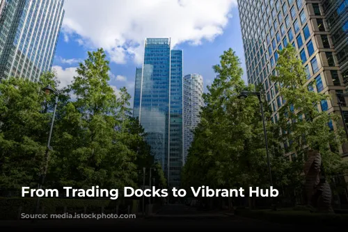 From Trading Docks to Vibrant Hub