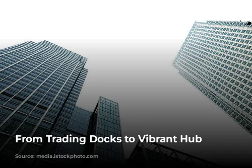 From Trading Docks to Vibrant Hub