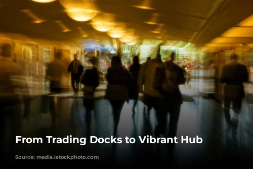 From Trading Docks to Vibrant Hub