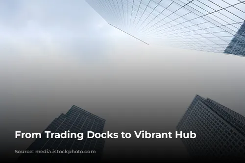 From Trading Docks to Vibrant Hub