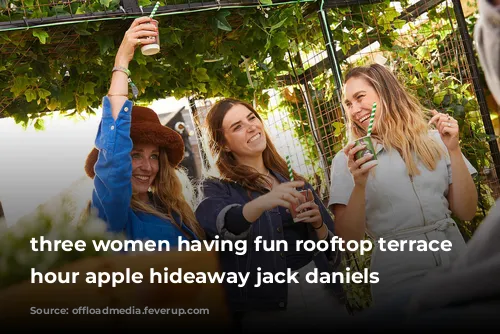 three women having fun rooftop terrace golden hour apple hideaway jack daniels