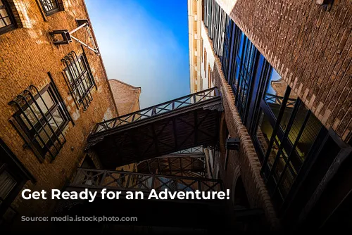 Get Ready for an Adventure!