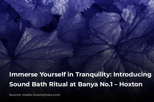 Immerse Yourself in Tranquility: Introducing the Sound Bath Ritual at Banya No.1 – Hoxton