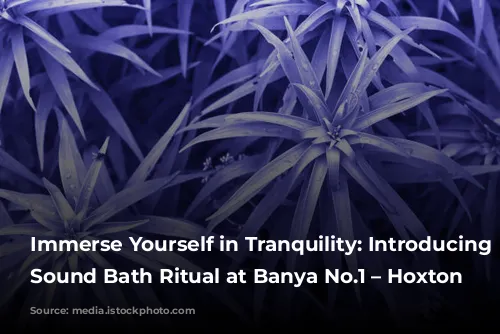 Immerse Yourself in Tranquility: Introducing the Sound Bath Ritual at Banya No.1 – Hoxton