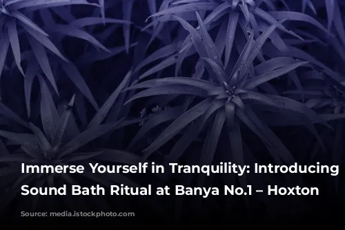 Immerse Yourself in Tranquility: Introducing the Sound Bath Ritual at Banya No.1 – Hoxton