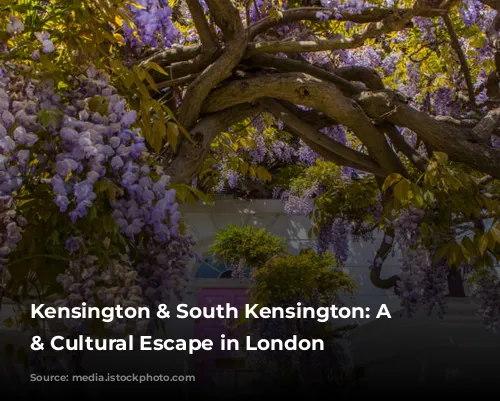 Kensington & South Kensington: A Royal & Cultural Escape in London