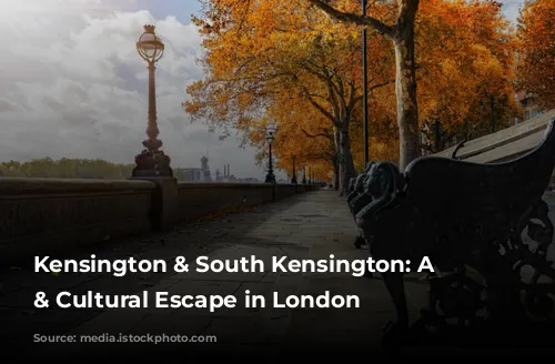 Kensington & South Kensington: A Royal & Cultural Escape in London