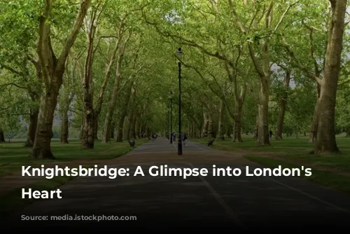 Knightsbridge: A Glimpse into London's Luxurious Heart