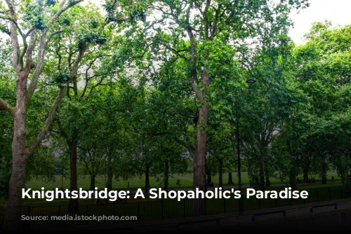 Knightsbridge: A Shopaholic's Paradise