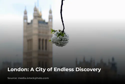 London: A City of Endless Discovery