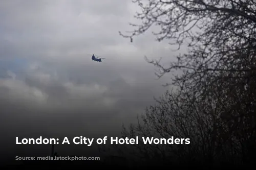 London: A City of Hotel Wonders