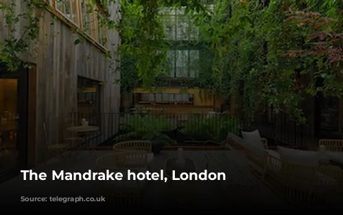 The Mandrake hotel, London